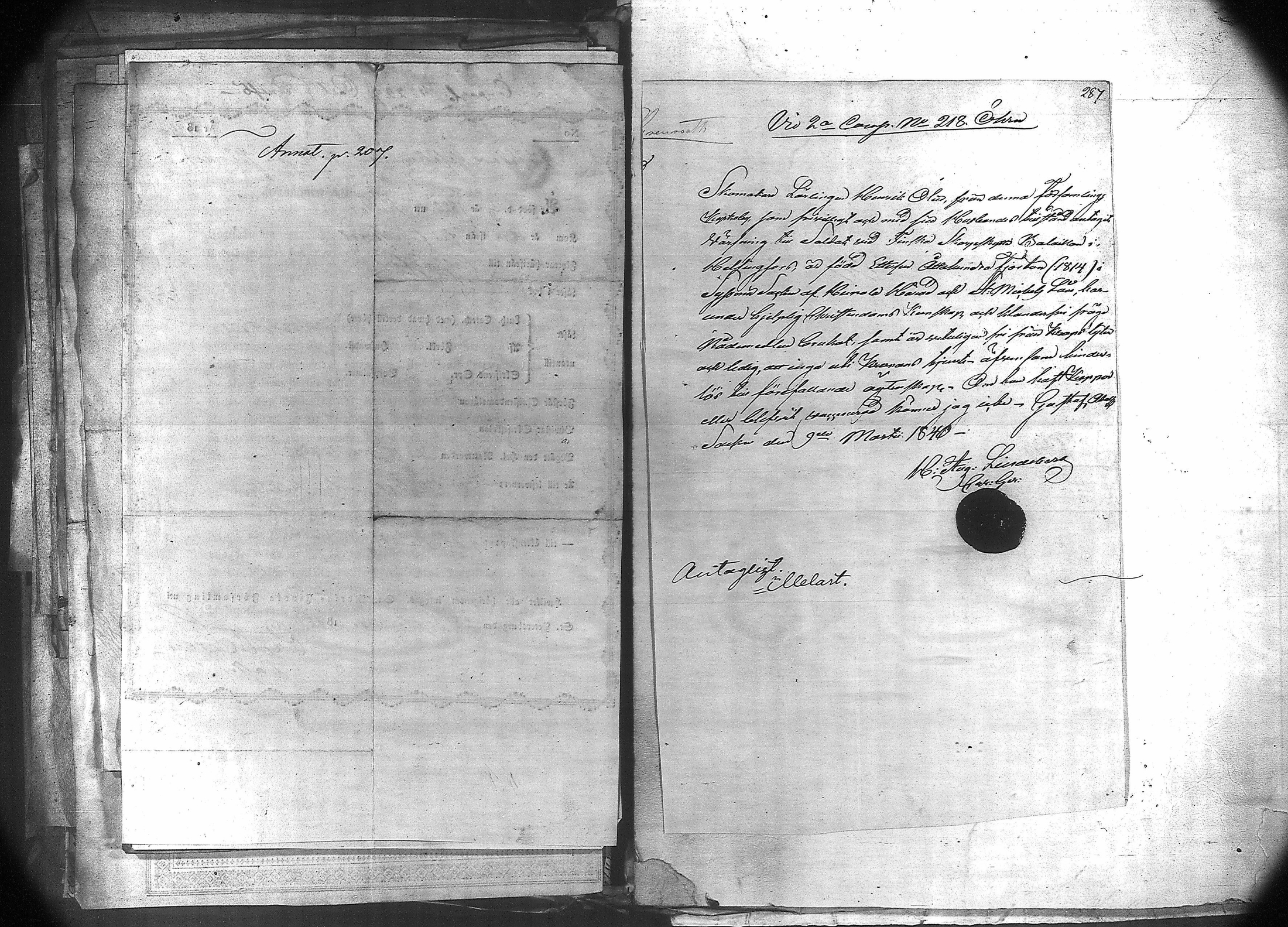 [ kuvat/313.jpg ]