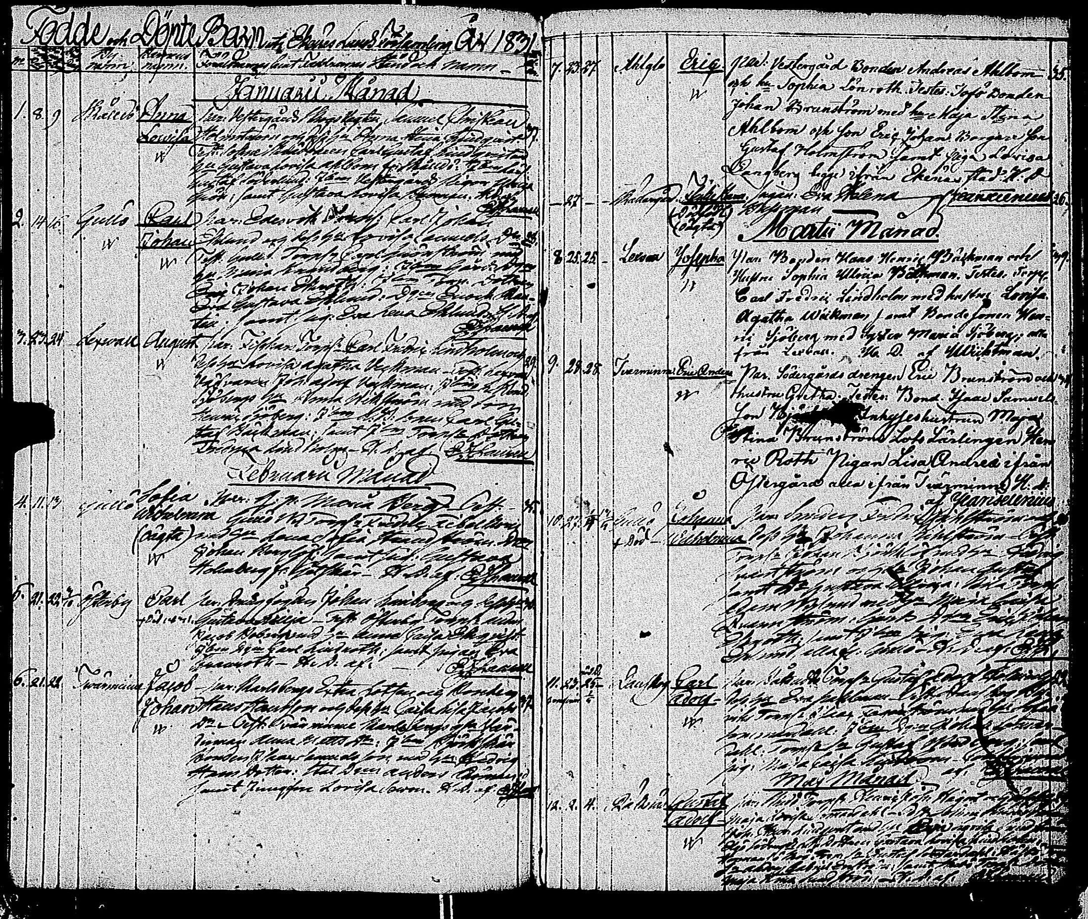 [ kuvat/228.jpg ]
