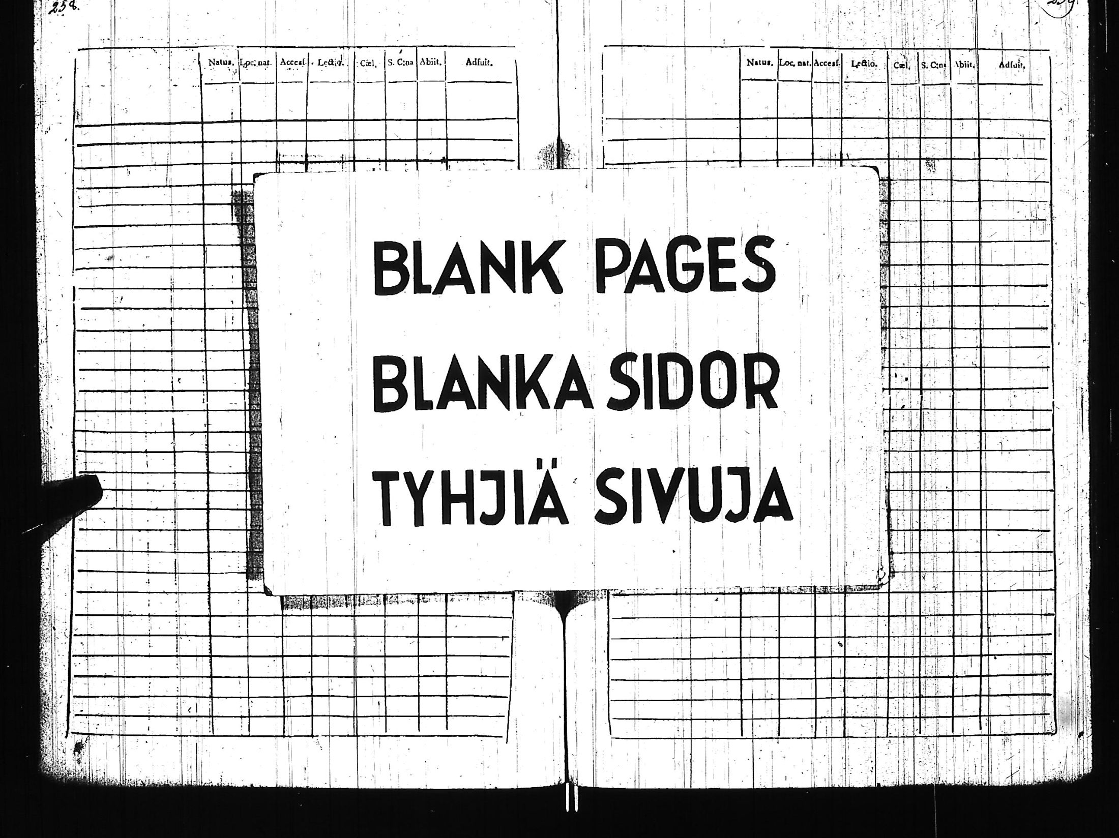 [ kuvat/114.jpg ]