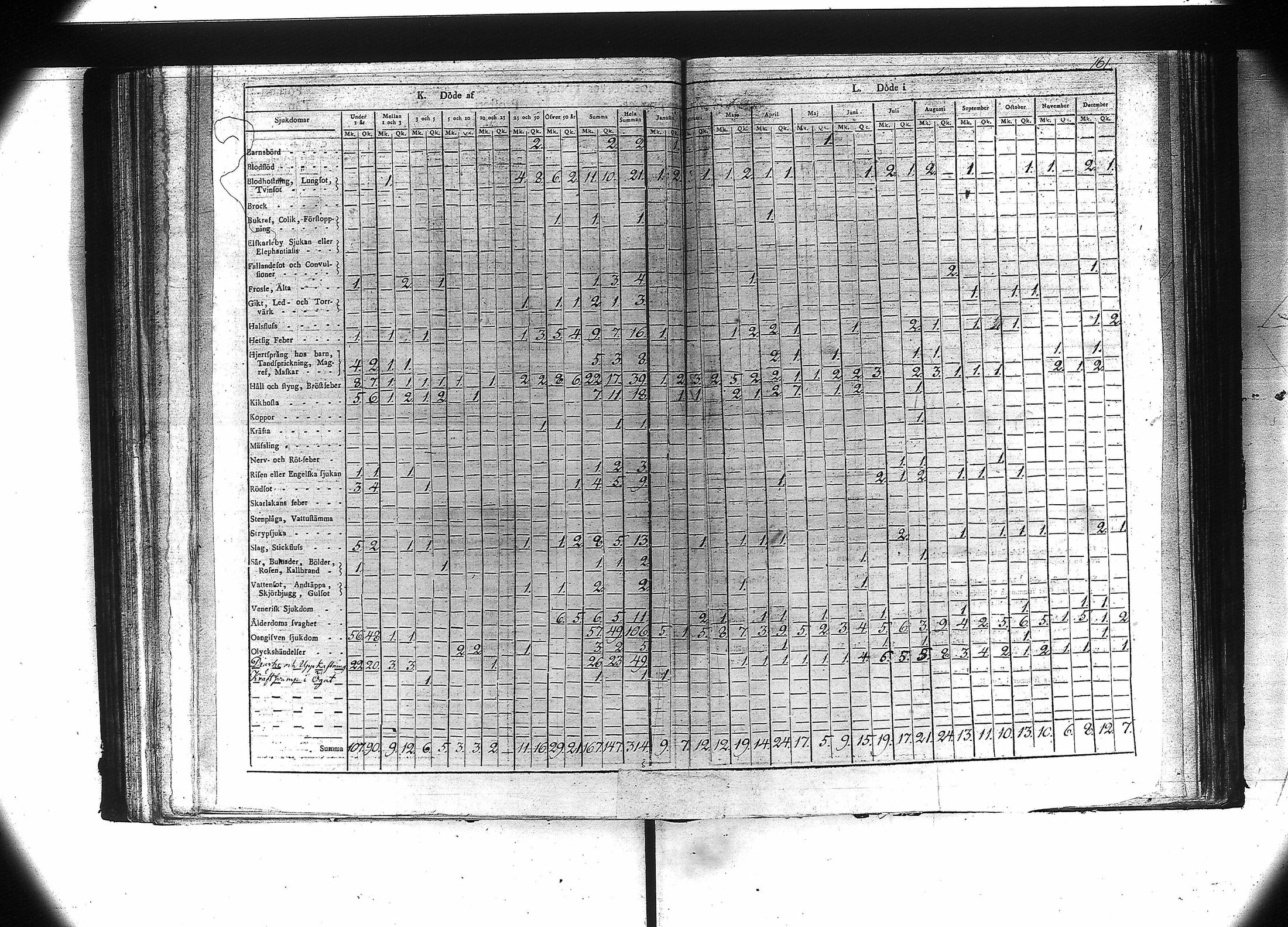 [ kuvat/163.jpg ]