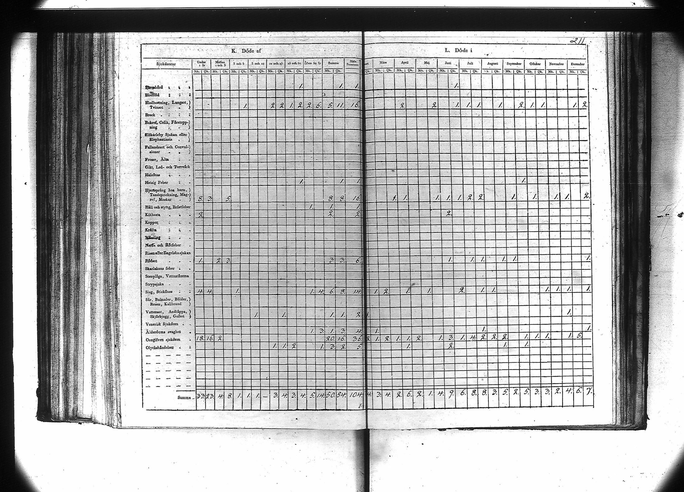 [ kuvat/213.jpg ]