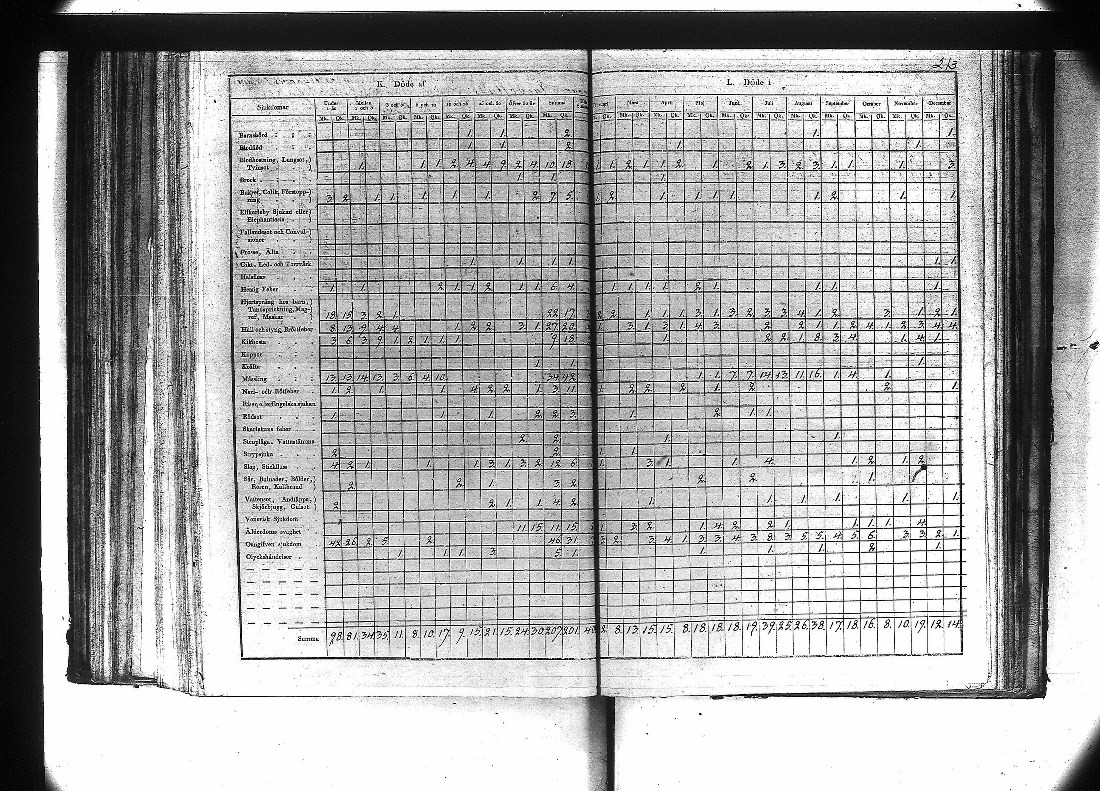 [ kuvat/215.jpg ]