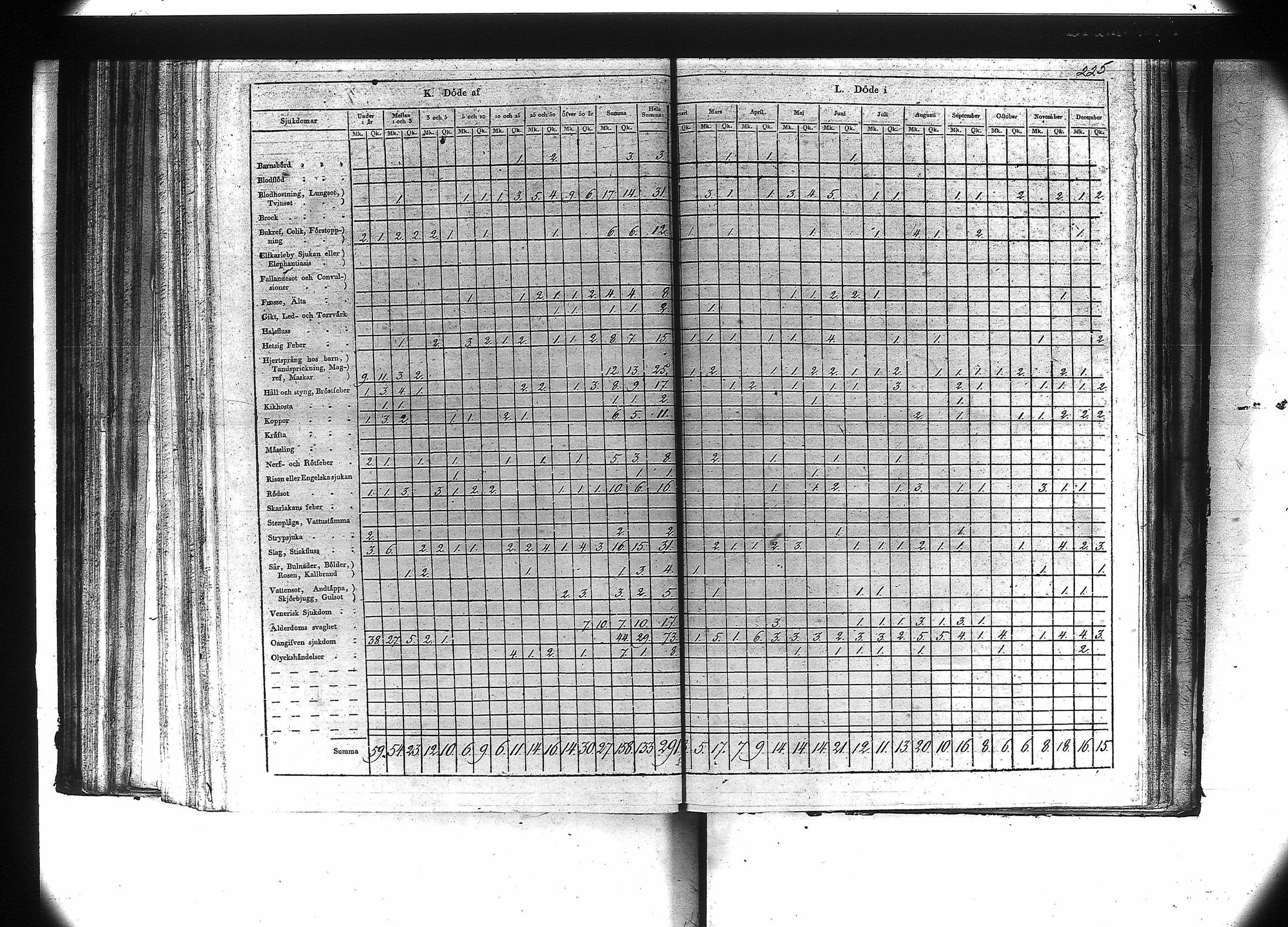 [ kuvat/227.jpg ]