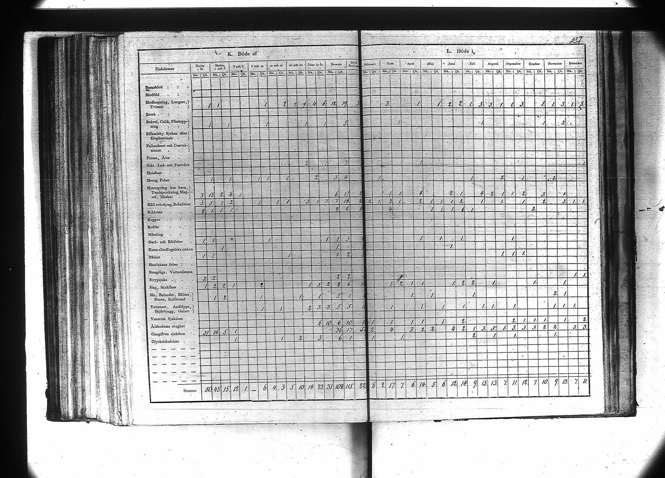 [ kuvat/239.jpg ]