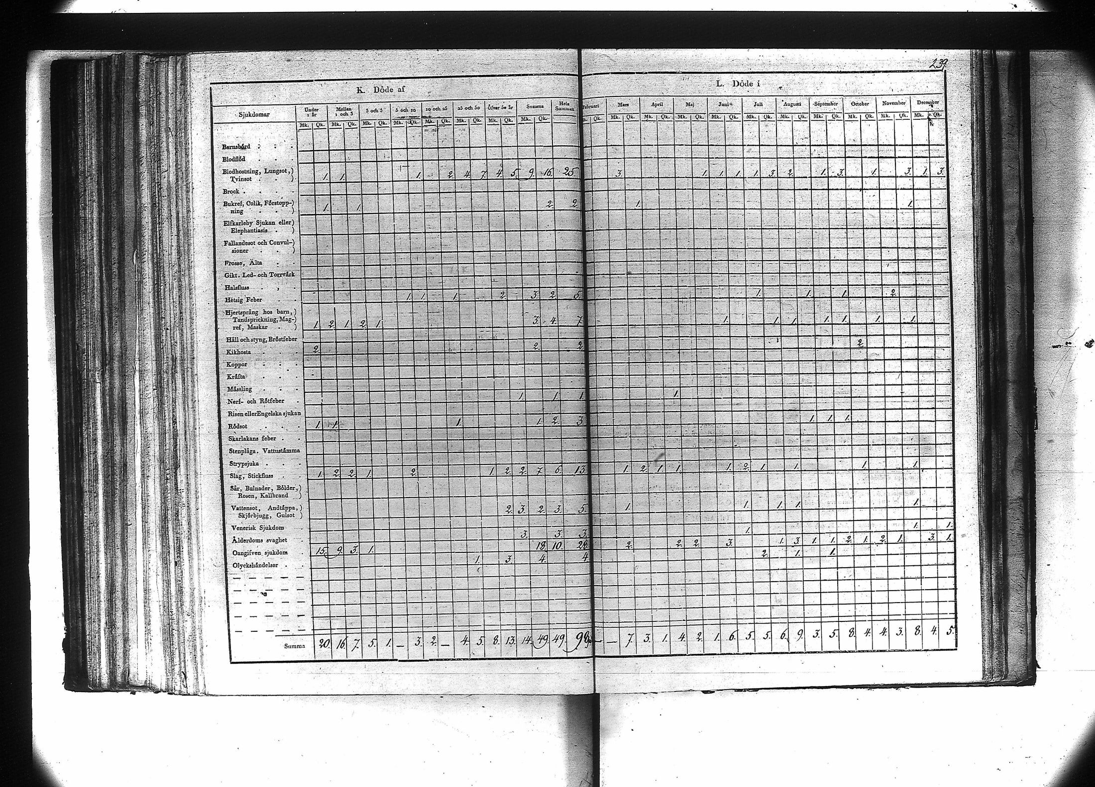[ kuvat/241.jpg ]