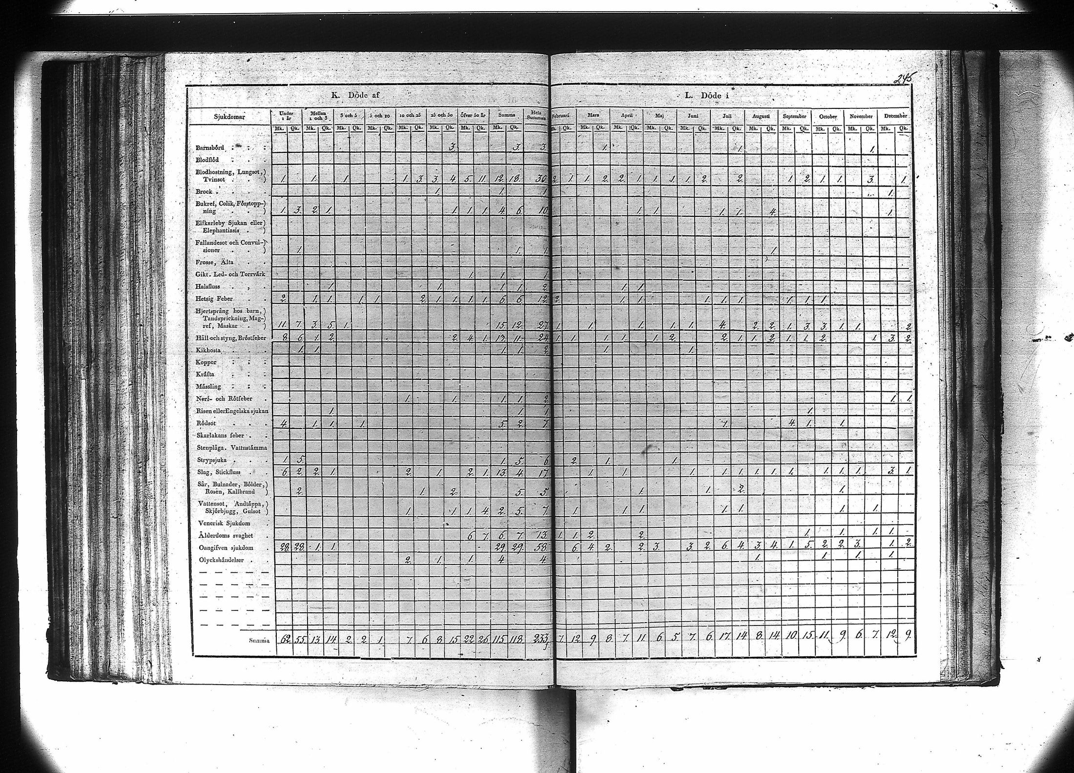 [ kuvat/247.jpg ]