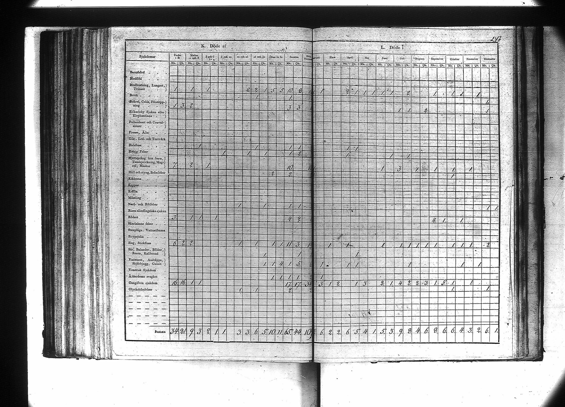 [ kuvat/249.jpg ]