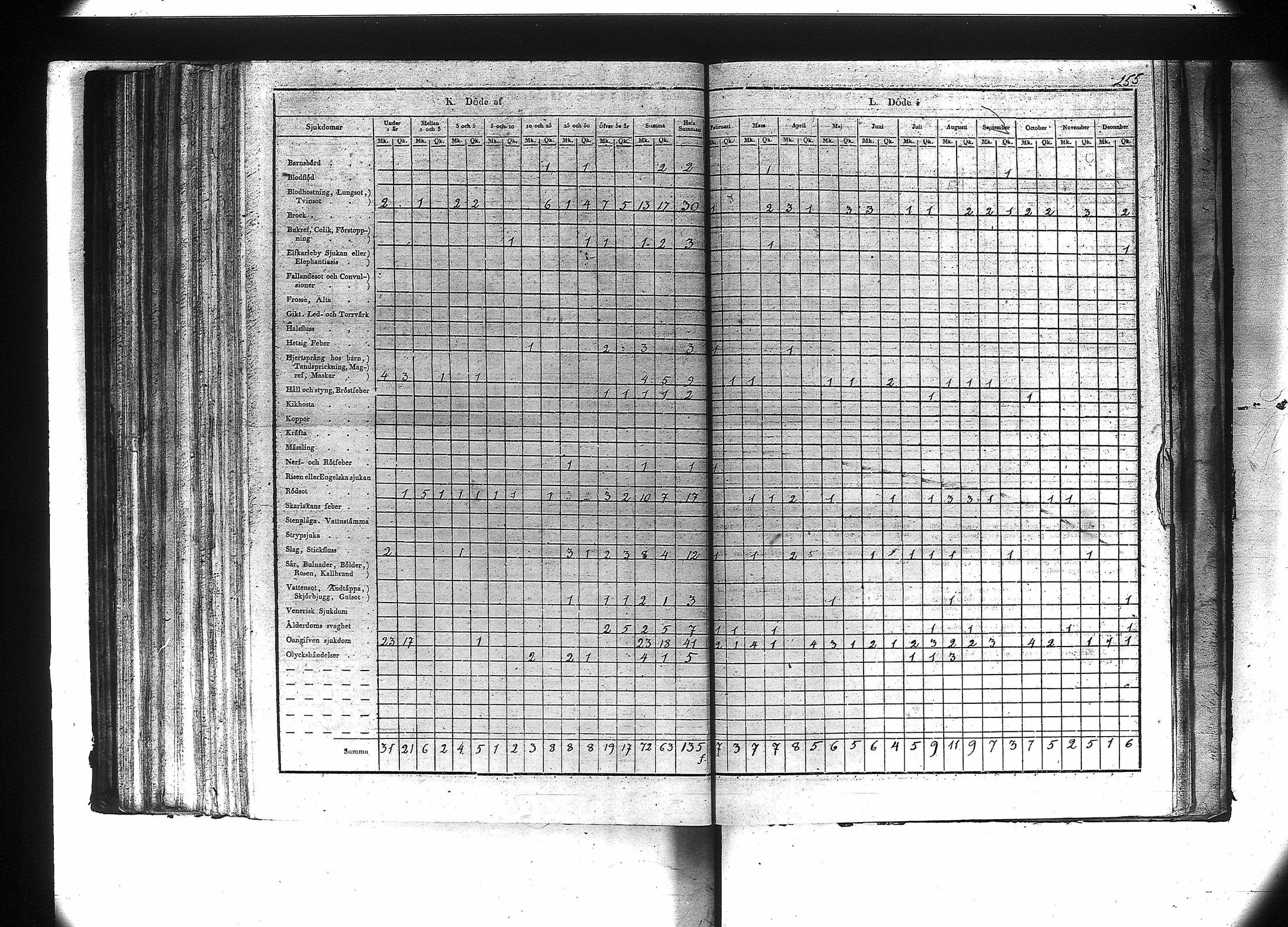 [ kuvat/257.jpg ]