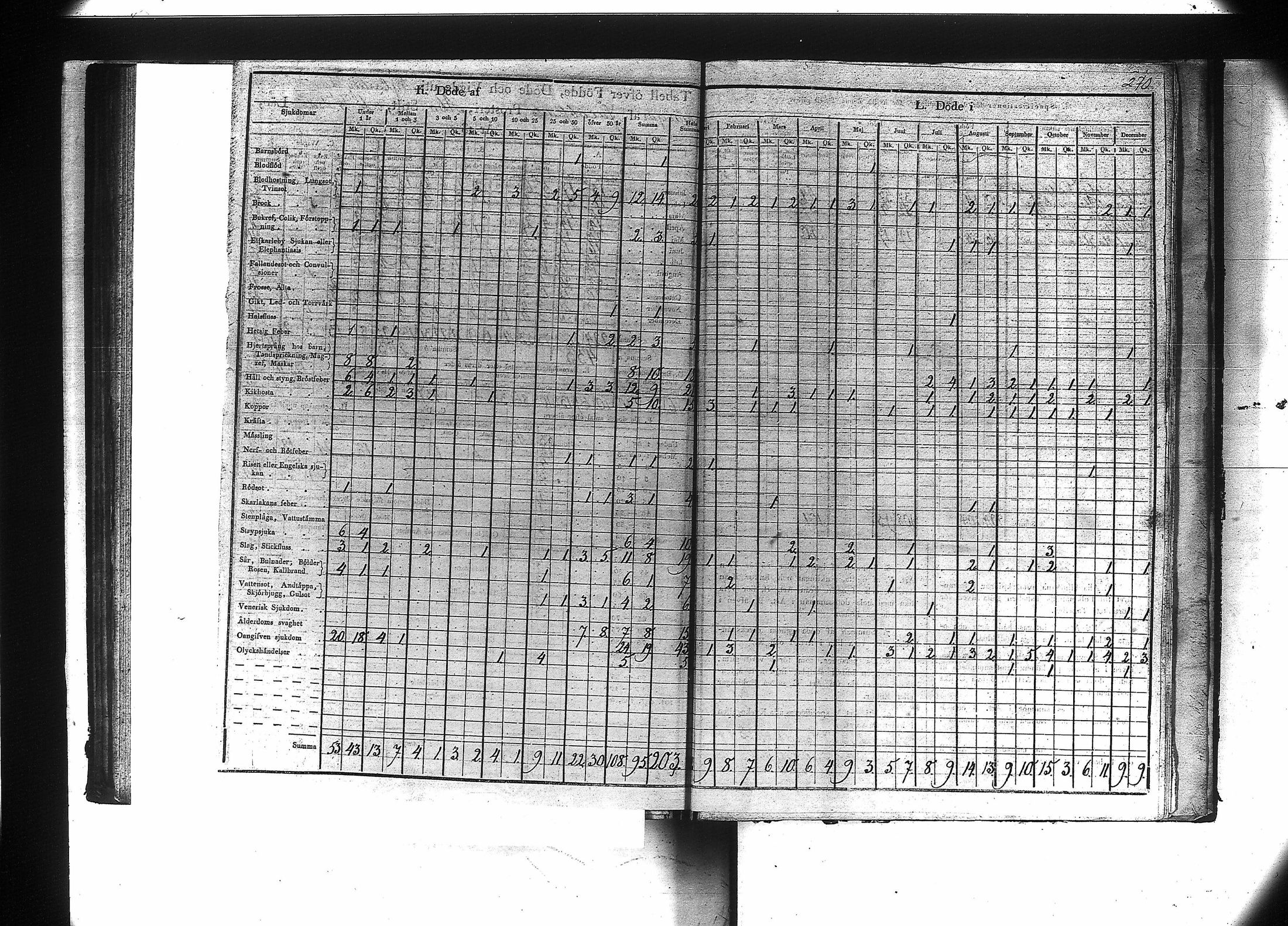 [ kuvat/272.jpg ]