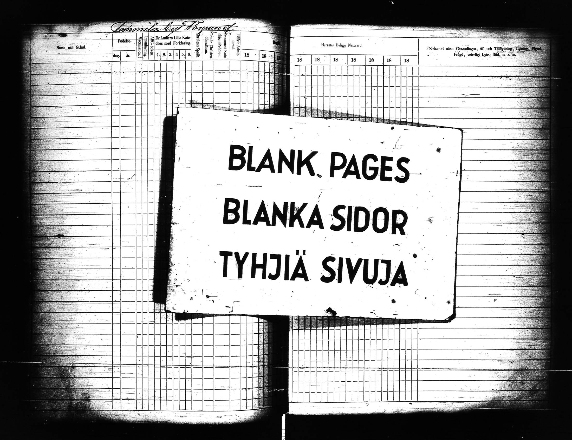 [ kuvat/295.jpg ]
