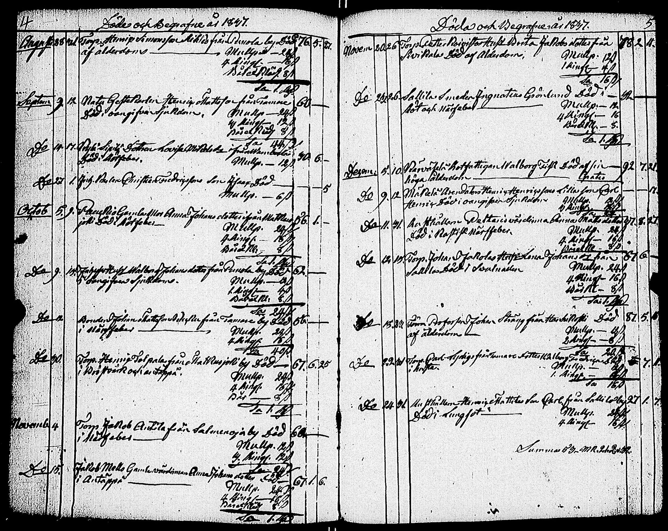 [ kuvat/195.jpg ]