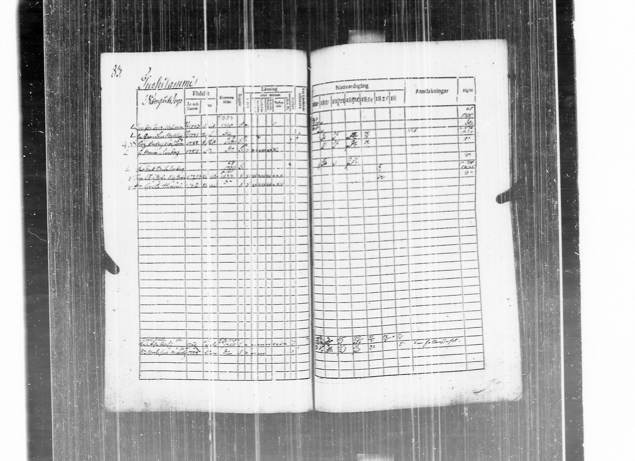 [ kuvat/91.jpg ]